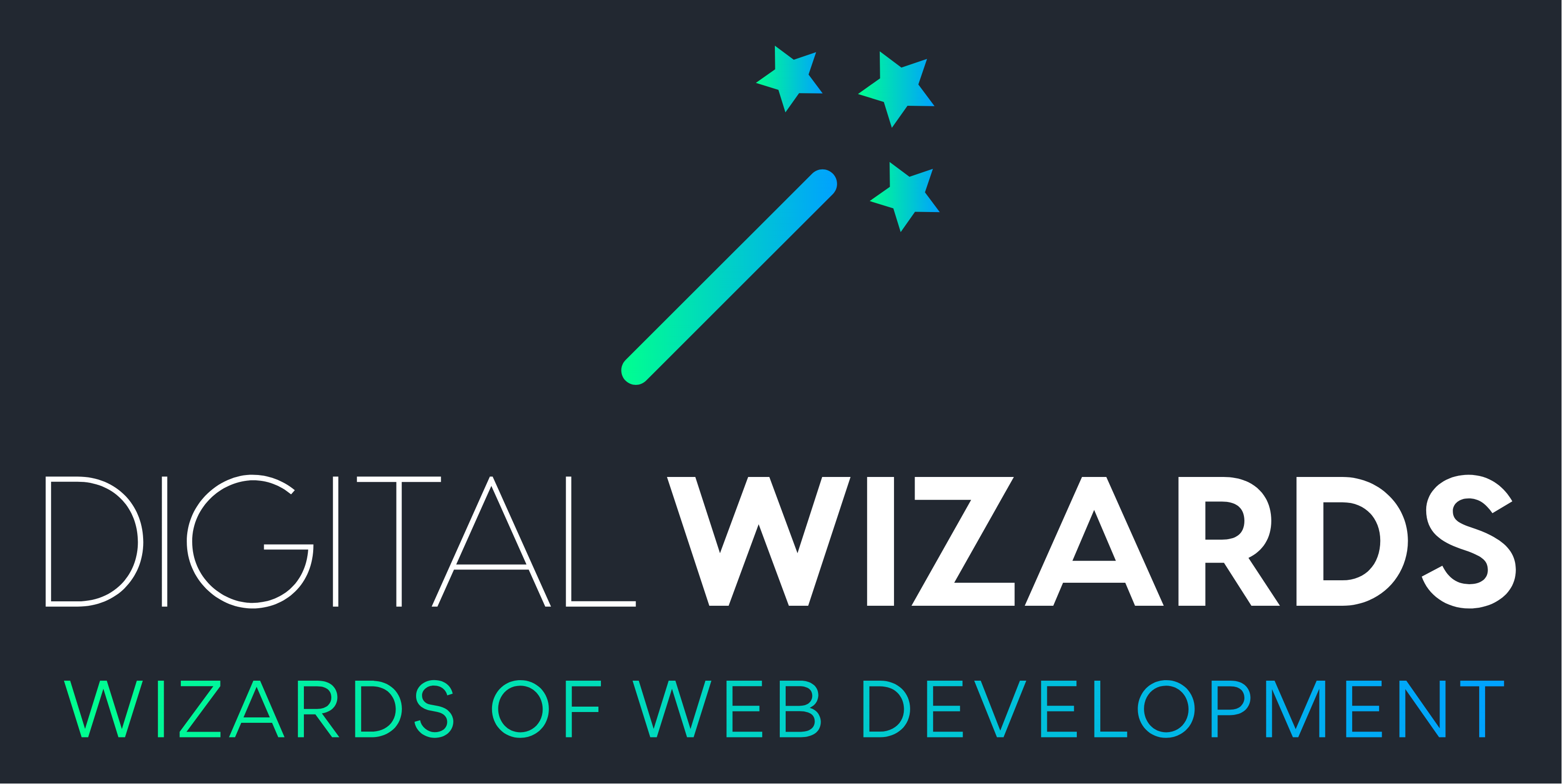 Digital Wizards | Bespoke Web Development, Software & AI Consultancy UK